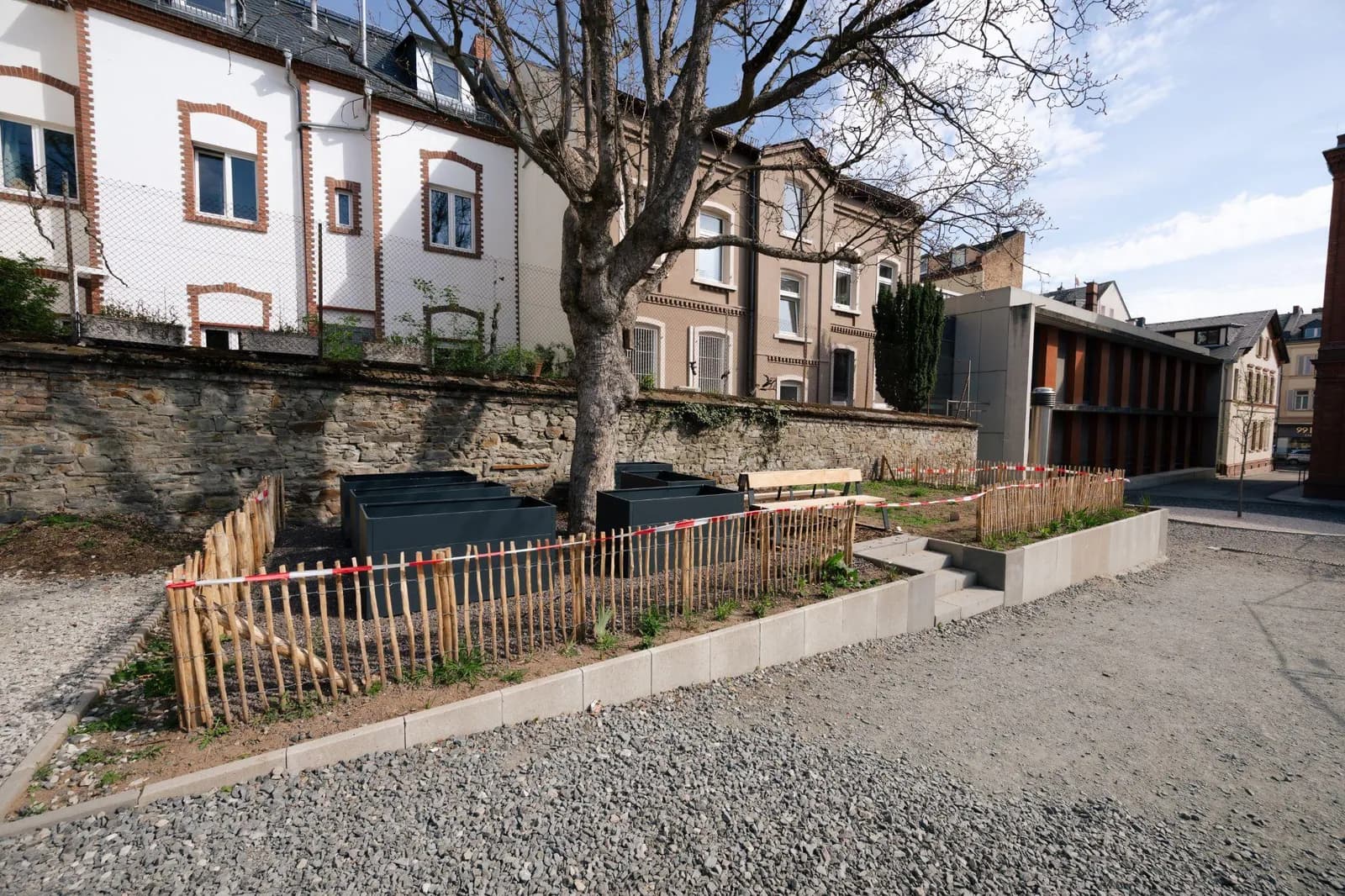 Frisch angelegter Schulgarten mit Hochbeeten und Bauzaun unter einem alten Baum